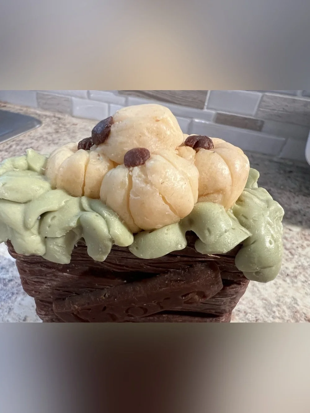 Brand New-Fiora Soap Co Pumpkin Patch Homemade Soap